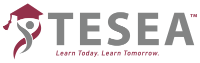 system logo